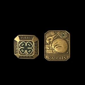 Vintage 4-H Club Rabbit Project Pin Lot Antique Enamel Metal Youth